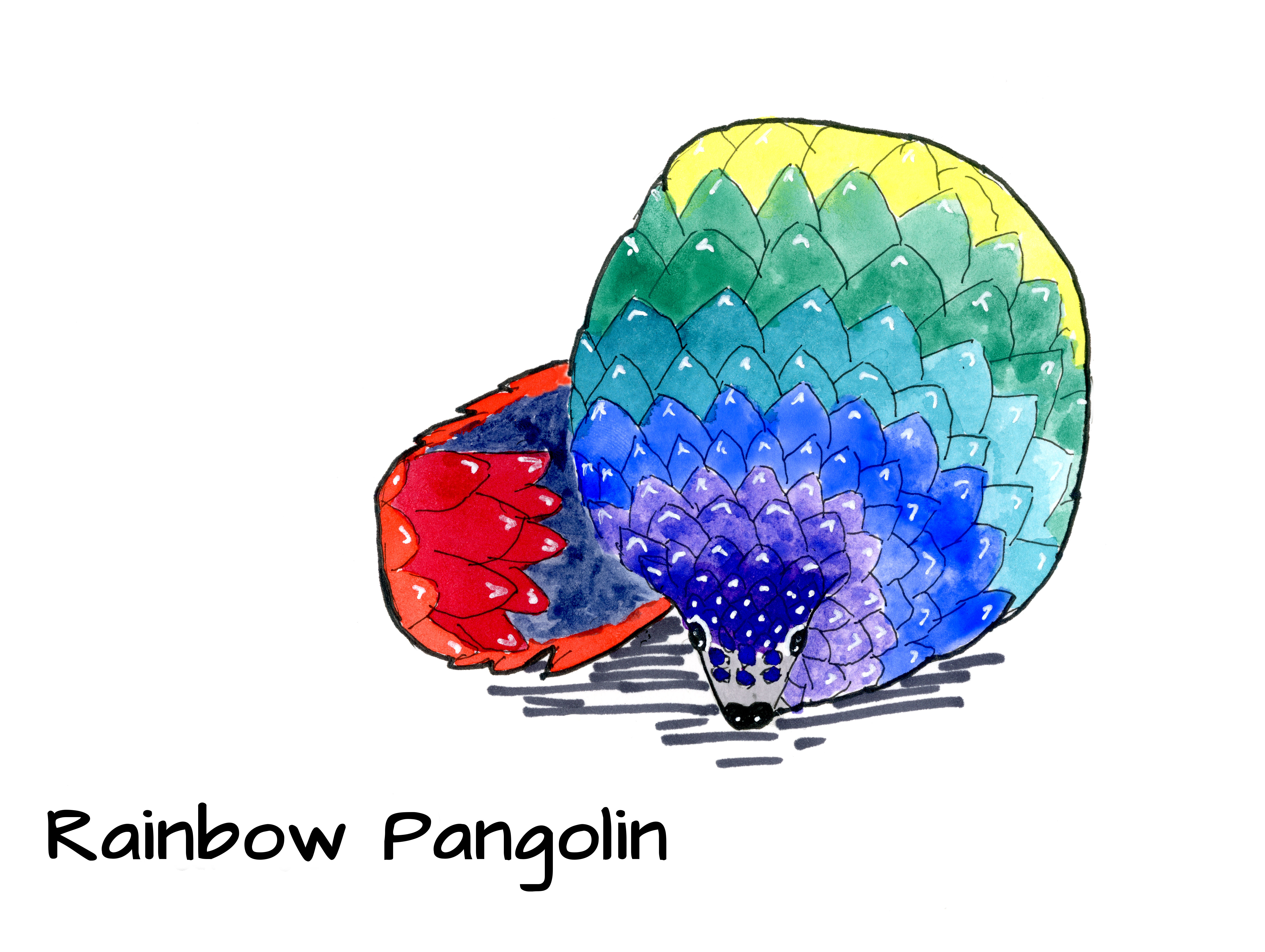 raindbow pangolin