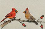 Cardinals and Rose-hips
