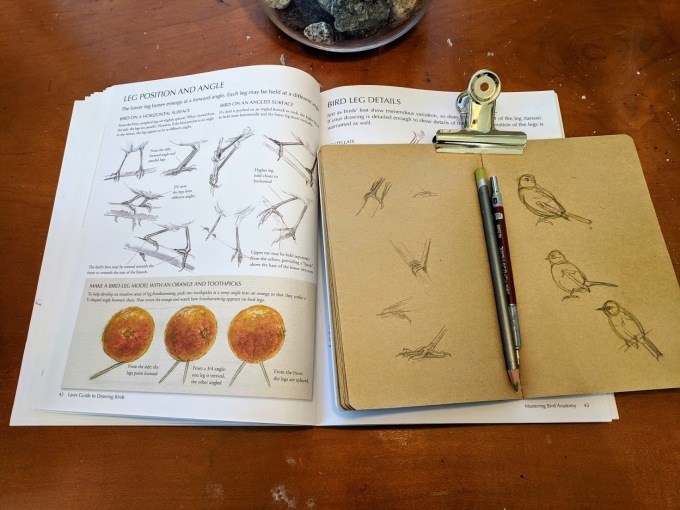 Bird Feet Drawing Practice